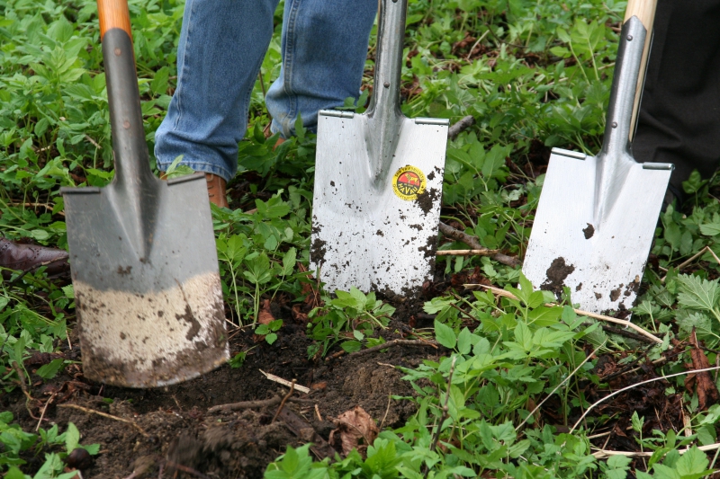 pepiniere-TARADEAU-min_work-lawn-flower-tool-green-backyard-1103633-pxhere.com